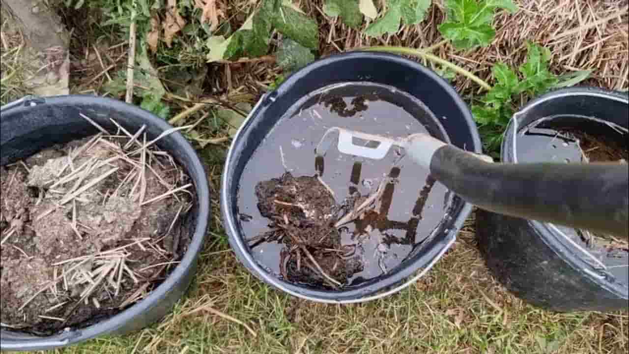 تصویر 2 از کود مرغی ژله‌ ای با آزاد سازی کنترل شده